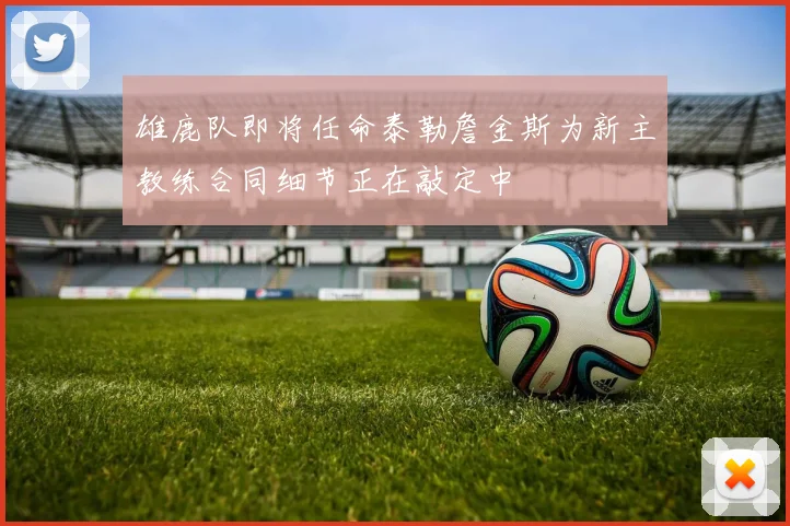 雄鹿队即将任命泰勒詹金斯为新主教练合同细节正在敲定中