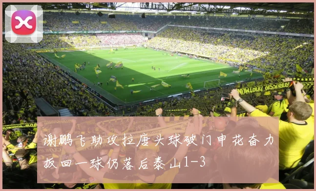 谢鹏飞助攻拉唐头球破门申花奋力扳回一球仍落后泰山1-3